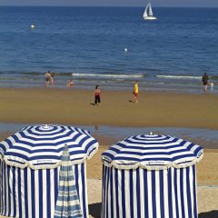 DSCF4203a-scaled