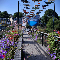 DSCF9895c_bd