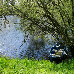 DSCF0397c_bd