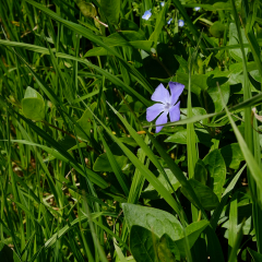 DSCF0398c_bd