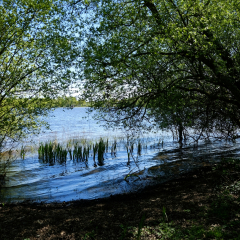 DSCF0402c_bd
