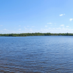 DSCF0413c_bd