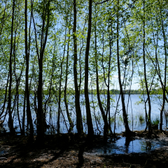 DSCF0419c_bd