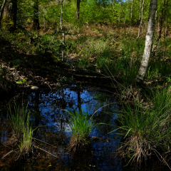 DSCF0437c_bd
