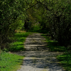 DSCF0442c_bd