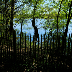 DSCF0462c_bd