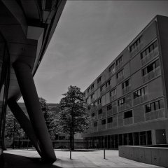 172016_1852180512792_8209657_o_1852180512792