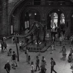172067_1852361757323_1435808_o_1852361757323